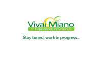 Pianta di Arancio (vaso - 35)